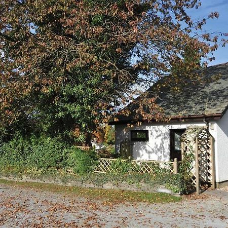 Lakefield Cottage Hawkshead Kültér fotó